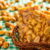 Best Whey Bar (408g) 12un Peanut Caramel Atlhetica Nutrition - comprar online