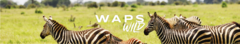 Banner de la categoría Waps Wild