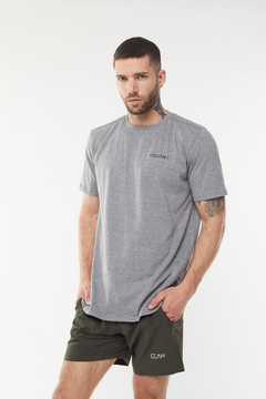 REMERA AQUILES ICONIC GRAY - comprar online
