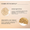 L'Oréal Professionnel Serie Expert Absolut Repair Gold Quinoa + Protein - Protetor Térmico 150ml - comprar online