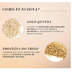 L'Oréal Professionnel Serie Expert Absolut Repair Gold Quinoa + Protein - Shampoo 1500ml na internet