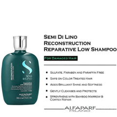 Alfaparf Semi Di Lino Reconstruction Reparative - Shampoo 250ml2 na internet