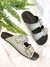 Birken Lorena