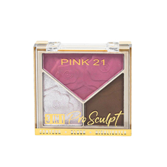 Paleta PRO SCULPT RUBOR ILUMINADOR BRONZER PINK21 - comprar online