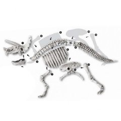 Kit de Paleontologia, Triceraptor, Escavação de fósseis e esqueleto, Brinquedo Educativo - comprar online