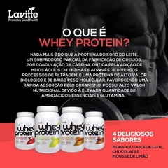 WHEY PROTEIN (910G) LAVITTE - comprar online