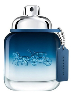 Coach Blue Edt 40ml-original+brinde na internet