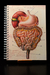 Cuaderno Salud Intestinal (Entrega inmediata) - comprar online