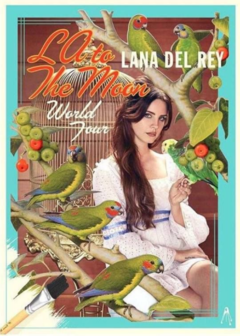 Poster Lana del Rey en internet