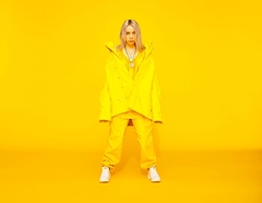 Poster Billie Eilish en internet