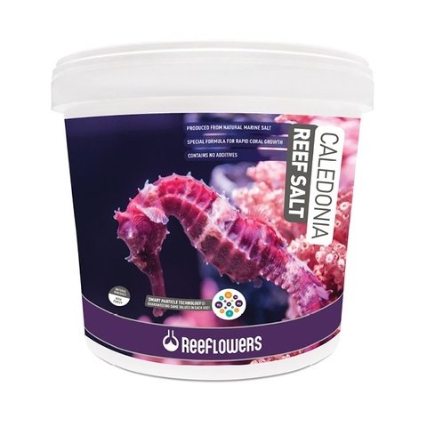 Sal Reeflowers Caledonia Reef Salt 22,5 KG