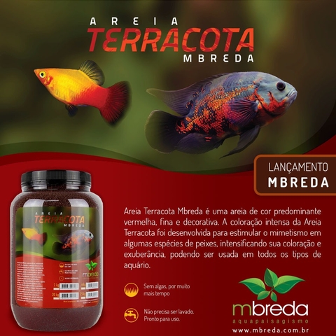 Areia Terracota Pote 6 Kg - Mbreda