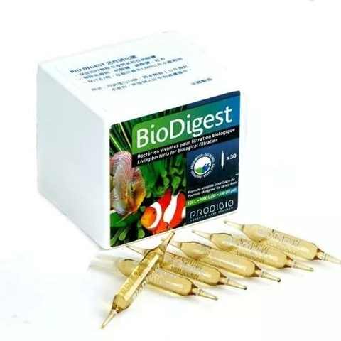 Biodigest Prodibio - Acelerador Biologico - Kit C/3 Un