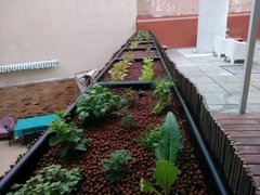 Imagen de Huerta Urbana Cultivo Hidropónico Contenedor Odette 9540A