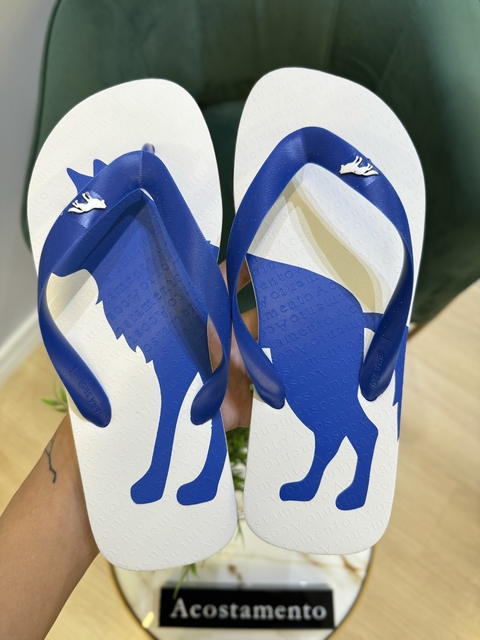 Chinelo Branco Lobão Azul 9004 - Acostamento