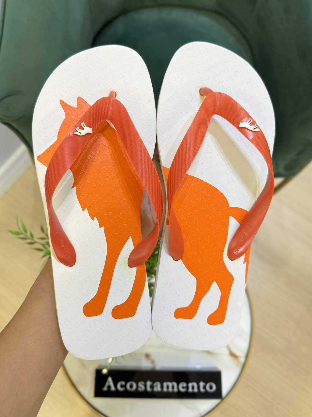 Chinelo Branco Lobão Laranja 9004 - Acostamento