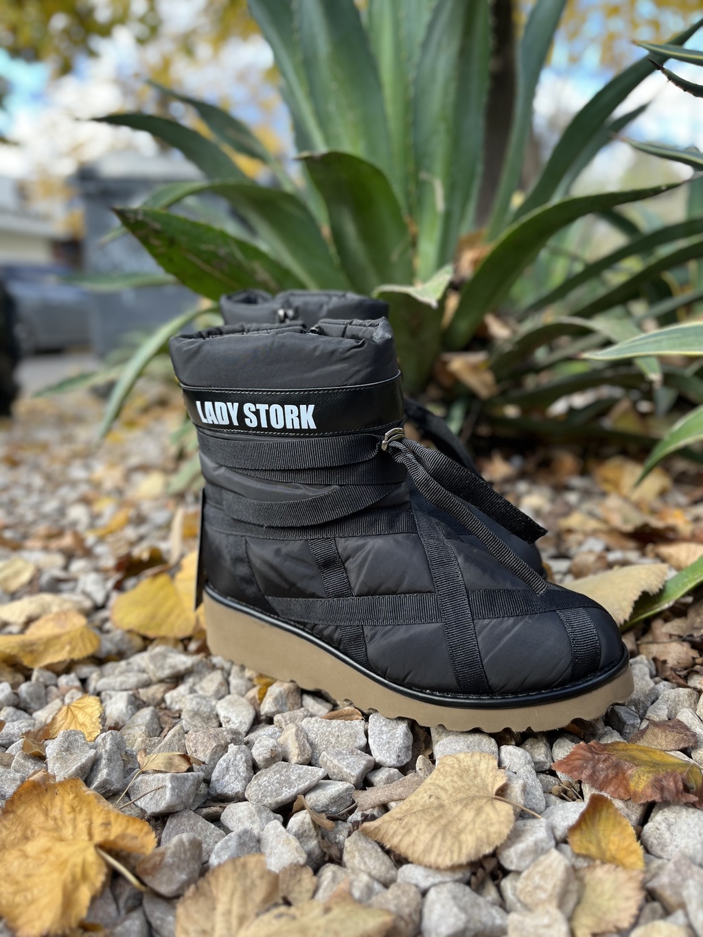 Lady stork compra online sale