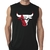 Remera Chicago Bulls