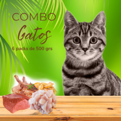 Combo GATOS 6 pack de 500g