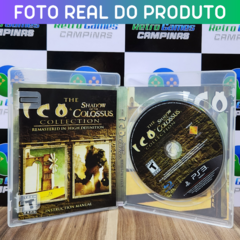 ICO & SHADOW OF THE COLOSSUS - PS3 na internet