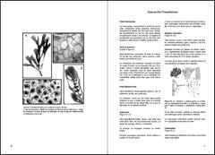 Algas Marinas de la Patagonia - VM Editores