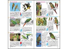 Imagen de Aves de Argentina y Uruguay / Birds of Argentina & Uruguay