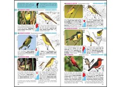 Aves de Argentina y Uruguay / Birds of Argentina & Uruguay - comprar online