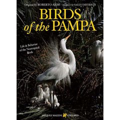 Birds of the Pampa