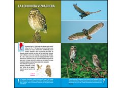 Aves de Argentina y Uruguay - Guía Básica de Identificación - comprar online