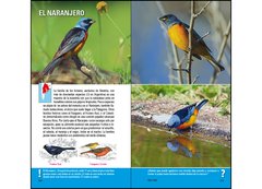 Imagen de Aves de Argentina y Uruguay - Guía Básica de Identificación