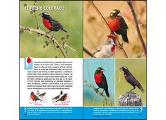 Aves de Argentina y Uruguay - Guía Básica de Identificación
