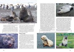 Mamíferos Acuáticos de Sudamérica y Antártida - VM Editores