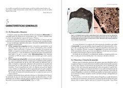 Meteoritos. Restos rocosos del Sistema Solar Primitivo. en internet