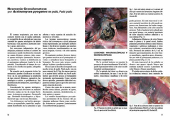 Patología en Fauna Silvestre - Manual y Atlas en internet