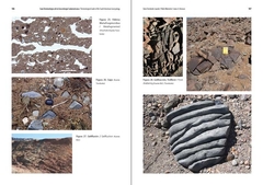 Guía terminológica de la Geocriología Sudamericana / Terminological Guide of the South American Geocryology - comprar online