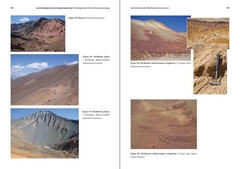 Guía terminológica de la Geocriología Sudamericana / Terminological Guide of the South American Geocryology - VM Editores
