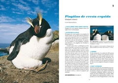 Imagen de Pingüinos: Historia Natural y Conservación