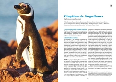 Pingüinos: Historia Natural y Conservación - comprar online