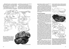 Imagen de Vida en Evolución. La Historia Natural vista desde Sudamérica