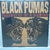 Lp Black Pumas Chronicles of a diamond