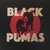 LP BLACK PUMAS