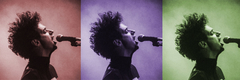 Banner de la categoría CERATI