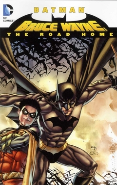 Batman Bruce Wayne The Road Home TPB (2012 DC) #1-1ST
