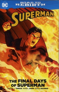 Superman The Final Days of Superman TPB (2017 DC) #1-1ST