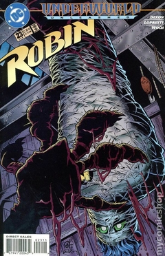 Robin (1993 DC) #23