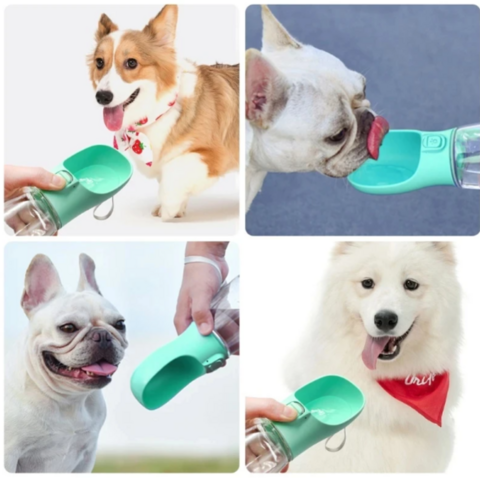 Dispenser de agua para mascotas