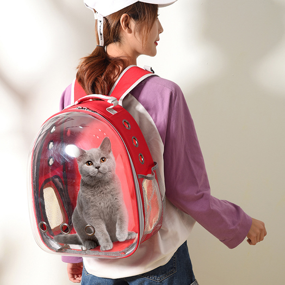 https://acdn.mitiendanube.com/stores/952/565/products/tbf-outdoor-pet-carrier-backpack-with-breathing-hole-11-42661a1e0aa1fce45b16577462531241-1024-1024.jpg