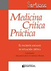 El paciente anciano en situacion critica - Garcia de Lorenzo - Ediciones Journal