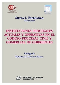 Instituciones procesales actuales y operativas en el Código Procesal Civil y Comercial de Corrientes - Silvia Esperanza - Editorial Rubinzal Culzoni