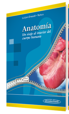 Anatomia, un viaje al interior del cuerpo humano - Lutjen-Drecoll - Editorial Medica Panamericana